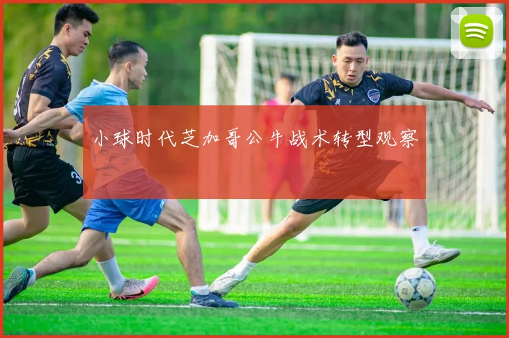 小球时代芝加哥公牛战术转型观察