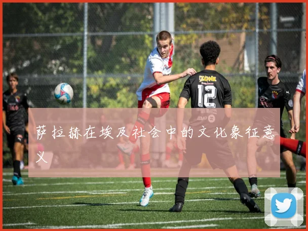 萨拉赫在埃及社会中的文化象征意义