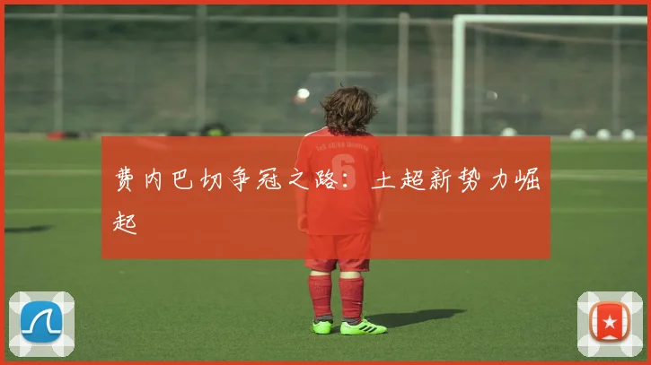 费内巴切争冠之路：土超新势力崛起
