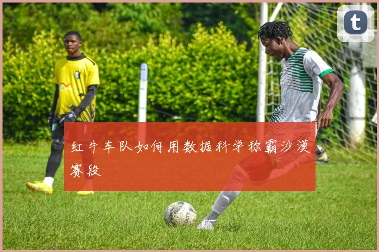 红牛车队如何用数据科学称霸沙漠赛段